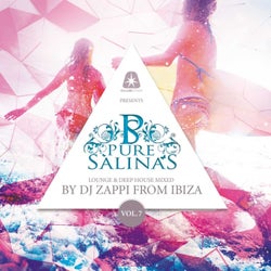 Pure Salinas, Vol. 7 (Compiled by DJ Zappi)