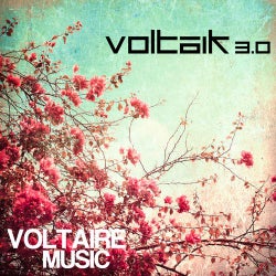 Voltaik 3.0