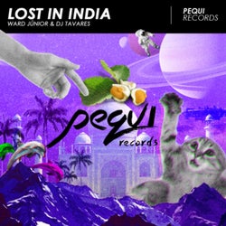 Lost In India