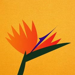 Birds of Paradise EP