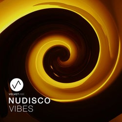 Nudisco Vibes, Vol. 1