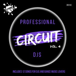 Professional Circuit Djs Compilation, Vol. 4