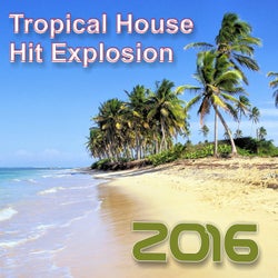 Hit Explosion: Tropical House 2016