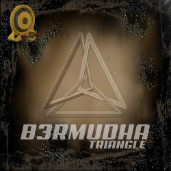 B3rmudha Triangle