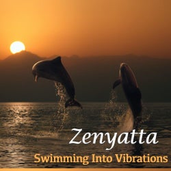 Swimming Into Vibrations