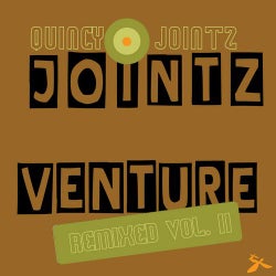 Jointz Venture Remixed, Vol.2