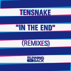 In The End (Remixes)