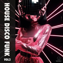 House Disco Funk Vol 2