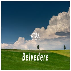 Belvedere