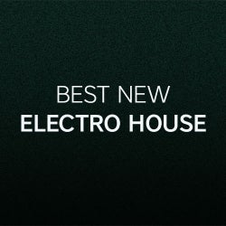 Best New Electro House: December