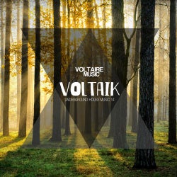 Voltaik #14