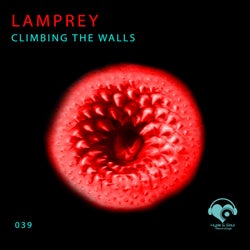 Climbing the Walls