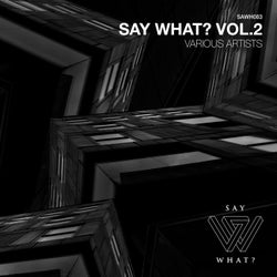 Say What?, Vol. 2