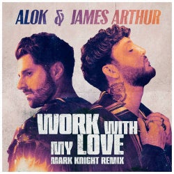 Work With My Love (Mark Knight Extended Remix)