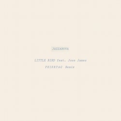 Little Bird (Feiertag Remix)