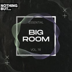 Nothing But... Essential Big Room, Vol. 16