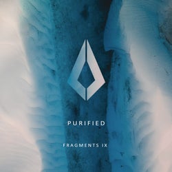 Purified Fragments IX