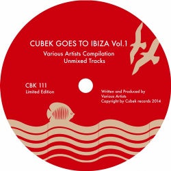 Cubek Goes To Ibiza Vol 1