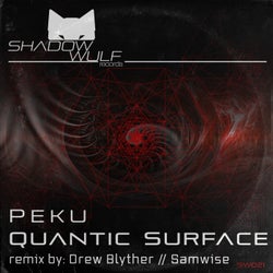 Quantic Surface