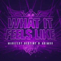 What It Feels Like - Extended Mix