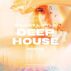 Sweet Little Deep-House Birds, Vol. 2