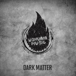 Dark Matter