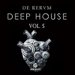 De Rerum Deep Vol. 5