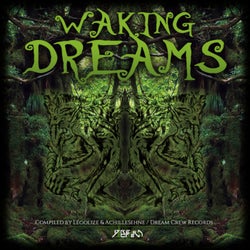 Waking Dreams