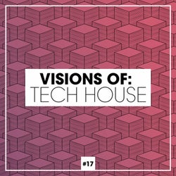 Visions Of: Tech House Vol. 17