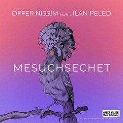 Mesuchsechet