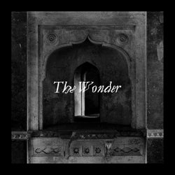 The Wonder