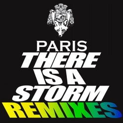 There Is a Storm (Remixes)