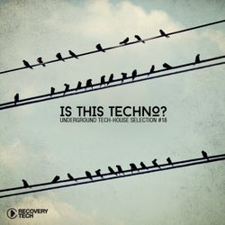 Is This Techno? Vol. 18