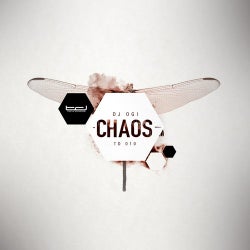 Chaos