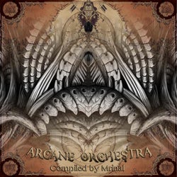 ARCANE ORCHESTRA