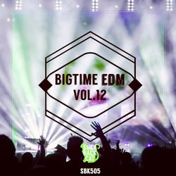 Bigtime EDM, Vol. 12