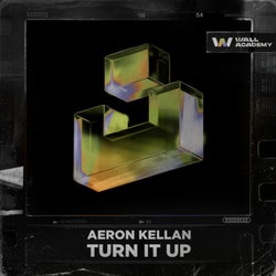 Turn It Up (Extended Mix)