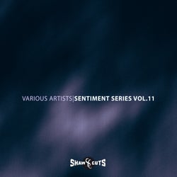 Sentiment Series Vol.11