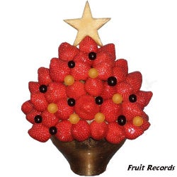 Merry Christmas Of Fruit Records