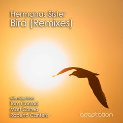 Bird (Remixes)