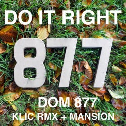 Do It Right - Single