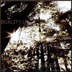 Duality LP