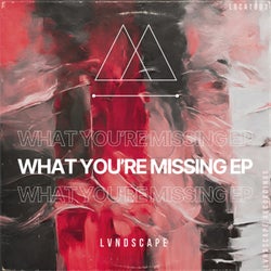 What You're Missing EP