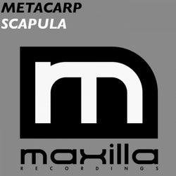 Scapula