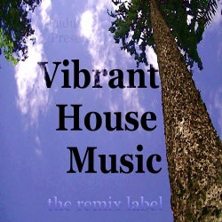 Vibrant Housemusic