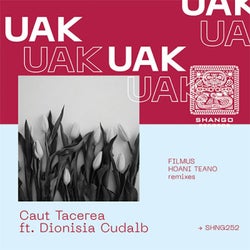 Caut Tacerea ft. Dionisia Cudalb