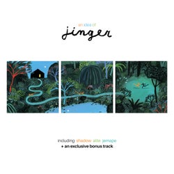 An Idea of Jinger