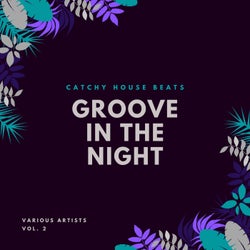 Groove In The Night (Catchy House Beats), Vol. 2