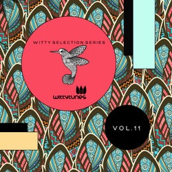 Witty Selection Series Vol. 11