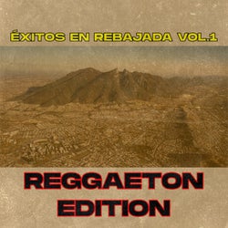 Éxitos En Cumbia Rebajada, Vol. 1